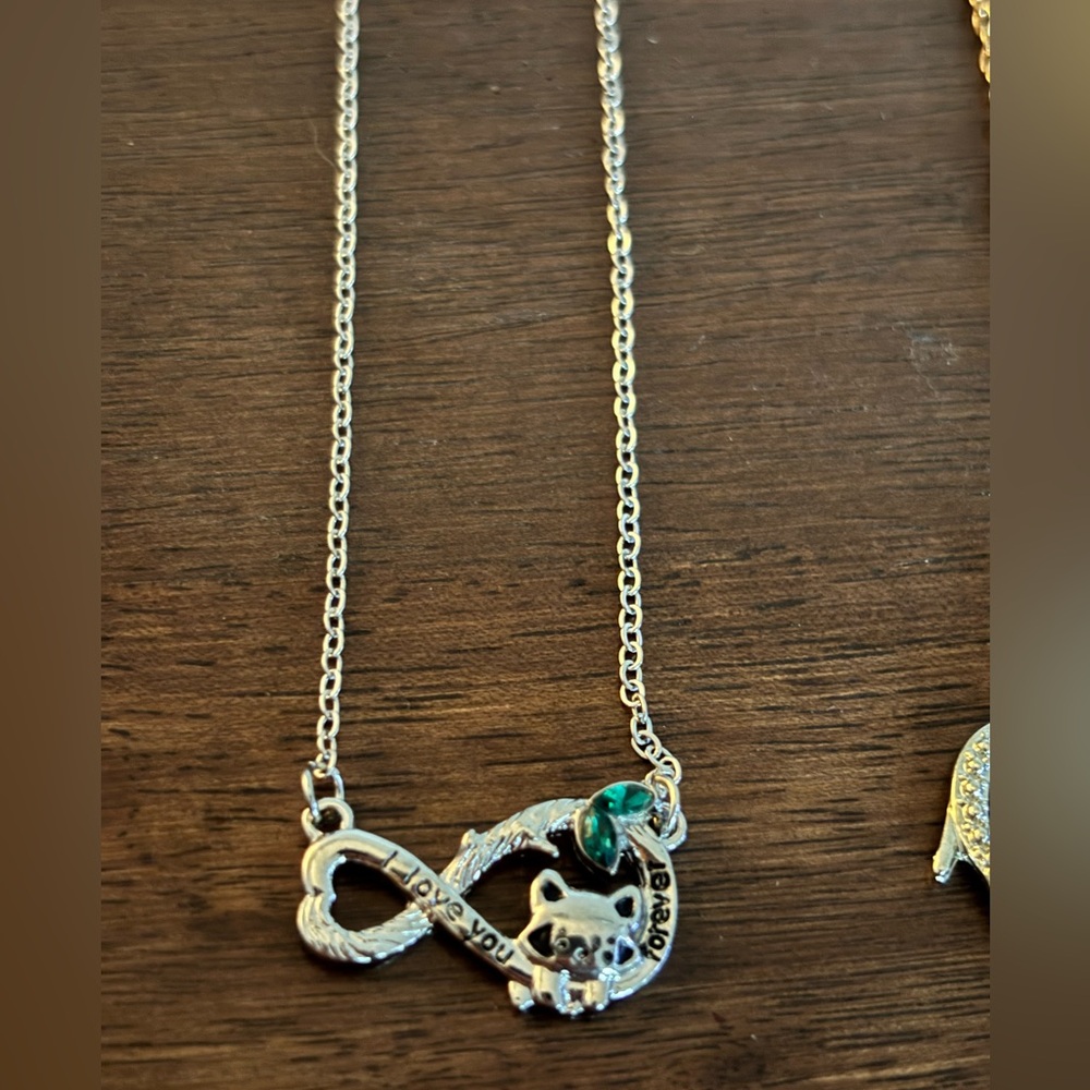 Silver-Tone Green Accent Raccoon Infinity Necklace - I Love You Forever